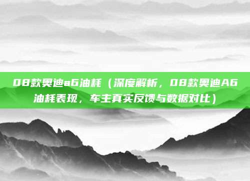 08款奥迪a6油耗(深度解析,08款奥迪A6油耗表现,车主真实反馈与数据对比)