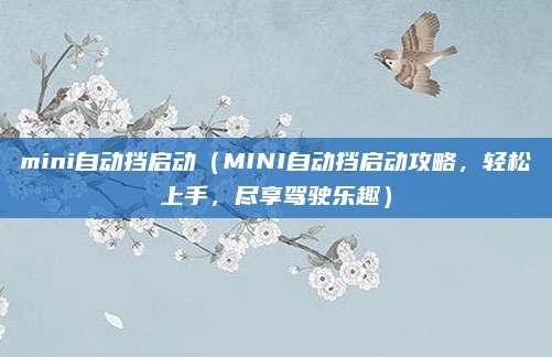 mini自动挡启动(MINI自动挡启动攻略,轻松上手,尽享驾驶乐趣)