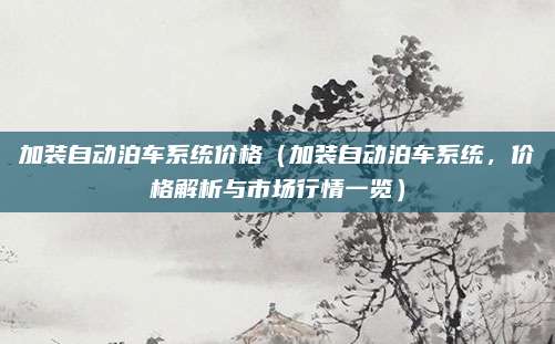 加装自动泊车系统价格（加装自动泊车系统，价格解析与市场行情一览）