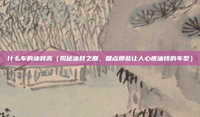 什么车的油耗高（揭秘油耗之巅，盘点那些让人心疼油钱的车型）