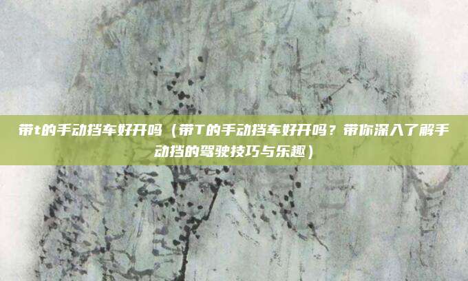 带t的手动挡车好开吗(带T的手动挡车好开吗?带你深入了解手动挡的驾驶技巧与乐趣)