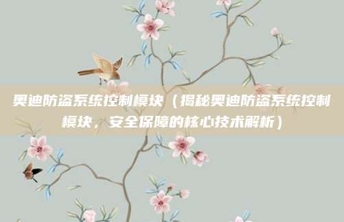奥迪防盗系统控制模块（揭秘奥迪防盗系统控制模块，安全保障的核心技术解析）