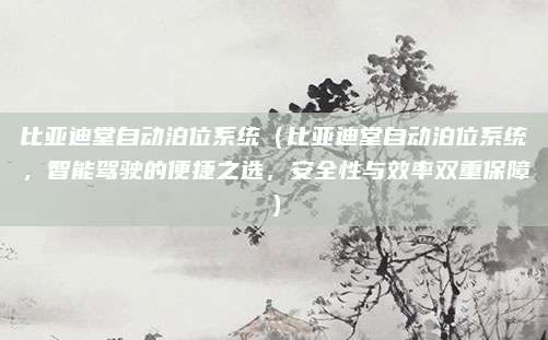 比亚迪堂自动泊位系统（比亚迪堂自动泊位系统，智能驾驶的便捷之选，安全性与效率双重保障）