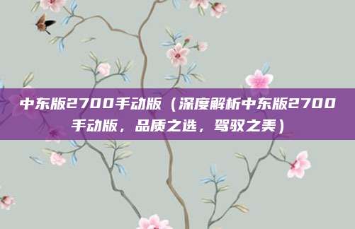 中东版2700手动版(深度解析中东版2700手动版,品质之选,驾驭之美)