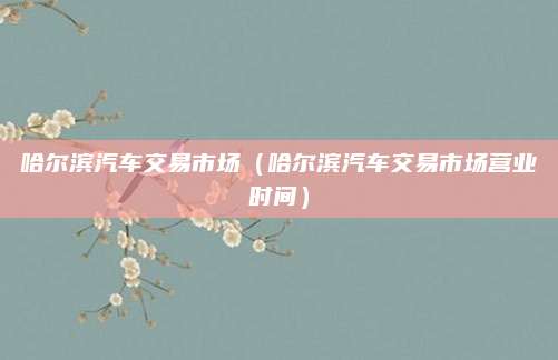 哈尔滨汽车交易市场(哈尔滨汽车交易市场营业时间)