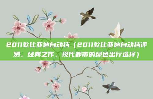 2011款比亚迪自动挡（2011款比亚迪自动挡评测，经典之作，现代都市的绿色出行选择）