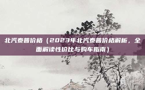 北汽泰普价格（2023年北汽泰普价格解析，全面解读性价比与购车指南）