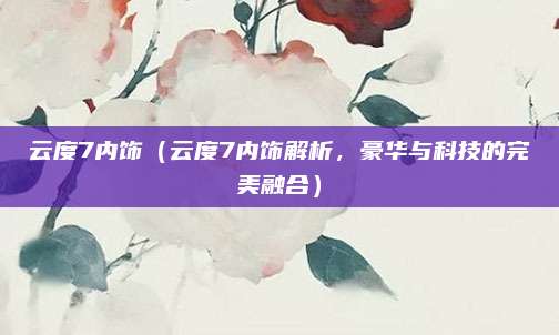 云度7内饰（云度7内饰解析，豪华与科技的完美融合）