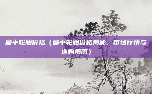 扁平轮胎价格(扁平轮胎价格揭秘,市场行情与选购指南)