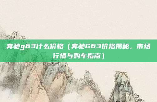 奔驰g63什么价格（奔驰G63价格揭秘，市场行情与购车指南）