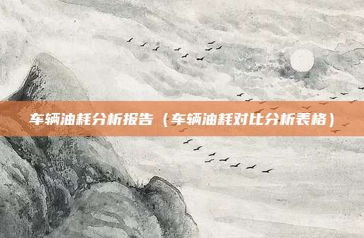 车辆油耗分析报告(车辆油耗对比分析表格)