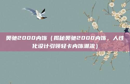 奥驰2000内饰（揭秘奥驰2000内饰，人性化设计引领轻卡内饰潮流）