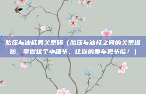 胎压与油耗有关系吗（胎压与油耗之间的关系揭秘，掌握这个小细节，让你的爱车更节能！）