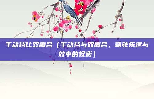 手动挡比双离合（手动挡与双离合，驾驶乐趣与效率的权衡）