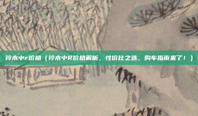 铃木中r价格（铃木中R价格解析，性价比之选，购车指南来了！）