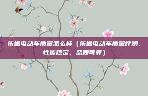 乐途电动车质量怎么样（乐途电动车质量评测，性能稳定，品质可靠）