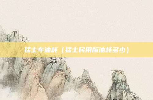 猛士车油耗(猛士民用版油耗多少)