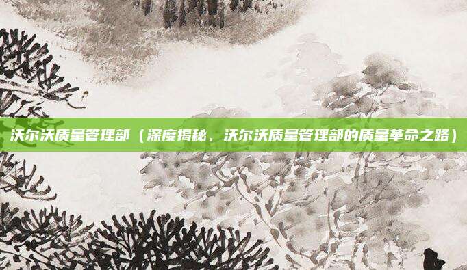 沃尔沃质量管理部(深度揭秘,沃尔沃质量管理部的质量革命之路)