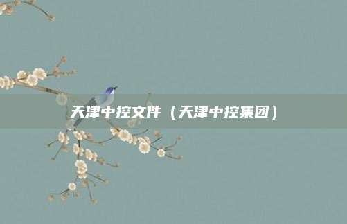 天津中控文件(天津中控集团)