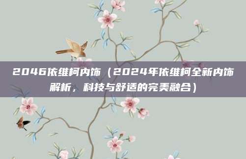 2046依维柯内饰(2024年依维柯全新内饰解析,科技与舒适的完美融合)