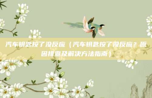 汽车钥匙按了没反应（汽车钥匙按了没反应？原因排查及解决方法指南）
