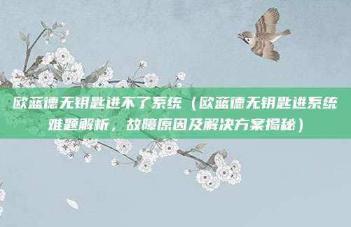 欧蓝德无钥匙进不了系统（欧蓝德无钥匙进系统难题解析，故障原因及解决方案揭秘）