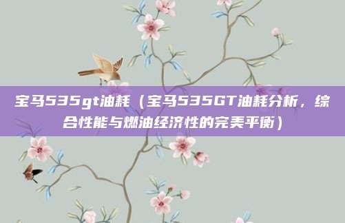 宝马535gt油耗（宝马535GT油耗分析，综合性能与燃油经济性的完美平衡）