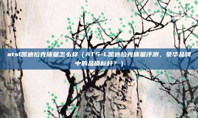 atsl凯迪拉克质量怎么样(ATS-L凯迪拉克质量评测,豪华品牌中的品质标杆?)