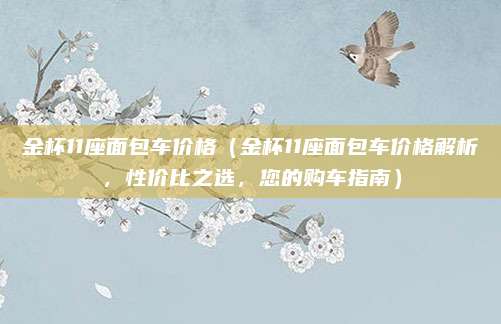 金杯11座面包车价格(金杯11座面包车价格解析,性价比之选,您的购车指南)