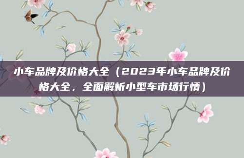 小车品牌及价格大全(2023年小车品牌及价格大全,全面解析小型车市场行情)