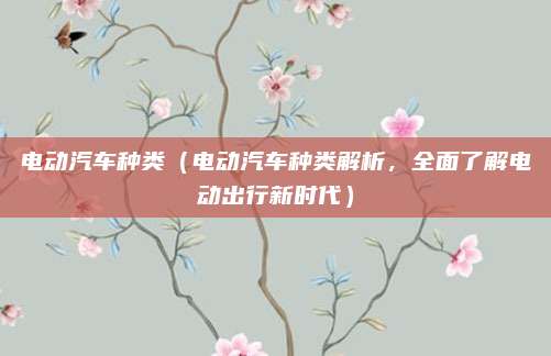 电动汽车种类(电动汽车种类解析,全面了解电动出行新时代)