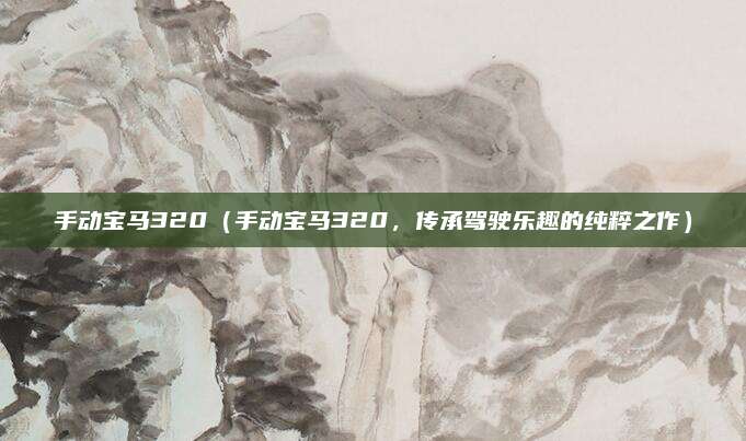 手动宝马320(手动宝马320,传承驾驶乐趣的纯粹之作)