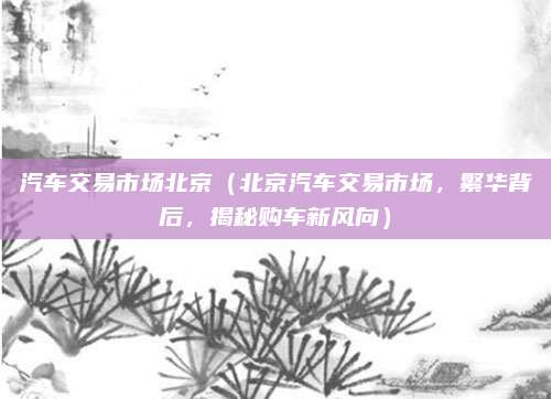 汽车交易市场北京(北京汽车交易市场,繁华背后,揭秘购车新风向)