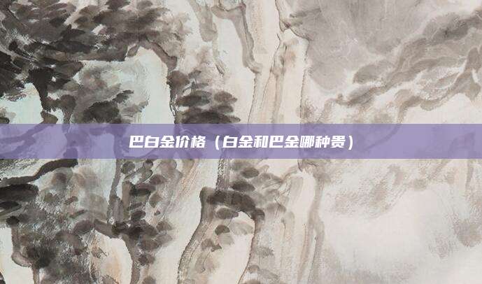 巴白金价格(白金和巴金哪种贵)