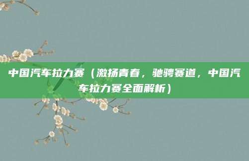 中国汽车拉力赛(激扬青春,驰骋赛道,中国汽车拉力赛全面解析)