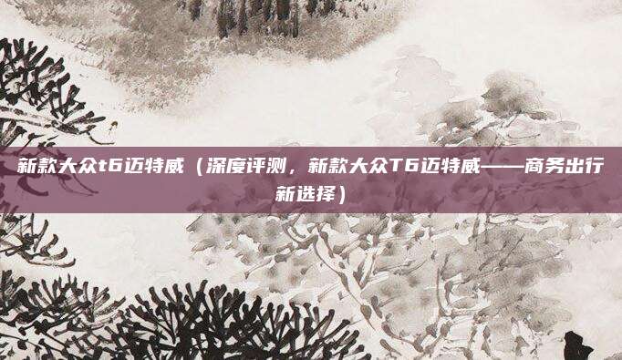 新款大众t6迈特威(深度评测,新款大众T6迈特威——商务出行新选择)