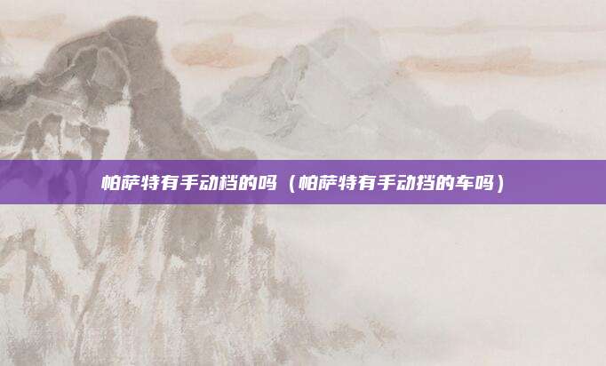 帕萨特有手动档的吗(帕萨特有手动挡的车吗)