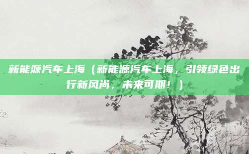 新能源汽车上海(新能源汽车上海,引领绿色出行新风尚,未来可期!)