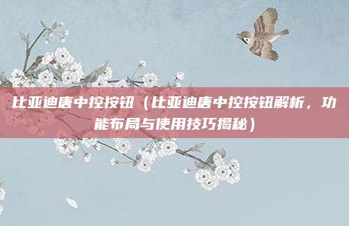 比亚迪唐中控按钮（比亚迪唐中控按钮解析，功能布局与使用技巧揭秘）