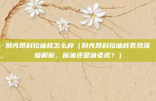 别克昂科拉油耗怎么样（别克昂科拉油耗表现深度解析，省油还是油老虎？）