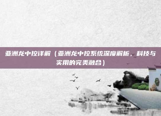 亚洲龙中控详解(亚洲龙中控系统深度解析,科技与实用的完美融合)