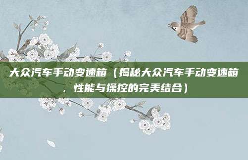 大众汽车手动变速箱(揭秘大众汽车手动变速箱,性能与操控的完美结合)