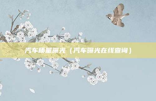 汽车质量曝光(汽车曝光在线查询)
