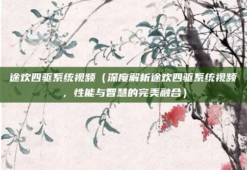 途欢四驱系统视频(深度解析途欢四驱系统视频,性能与智慧的完美融合)