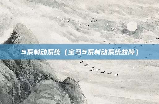 5系制动系统(宝马5系制动系统故障)