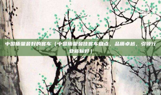 中国质量最好的客车(中国质量最佳客车盘点,品质卓越,引领行业新标杆)