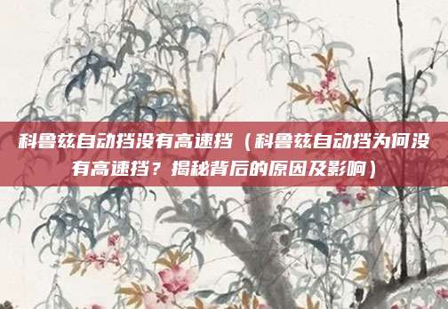 科鲁兹自动挡没有高速挡(科鲁兹自动挡为何没有高速挡?揭秘背后的原因及影响)