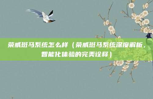 荣威斑马系统怎么样(荣威斑马系统深度解析,智能化体验的完美诠释)