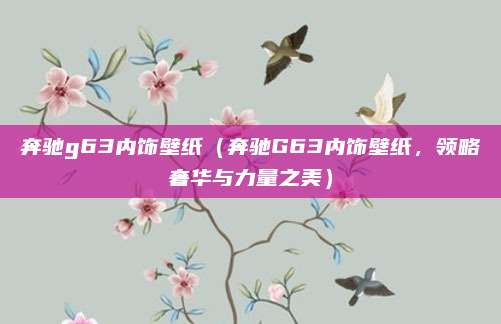 奔驰g63内饰壁纸（奔驰G63内饰壁纸，领略奢华与力量之美）