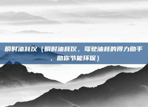 瞬时油耗仪（瞬时油耗仪，驾驶油耗的得力助手，助你节能环保）